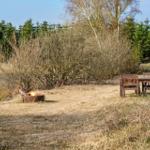 Ein See mit Wald im Hintergrund und Grasland im Vordergrund.