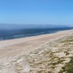 Weitläufiger Strand mit Dünen und Windkraftanlagen im Hintergrund.