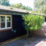 Schwarzes Holzhaus mit Dach und Fenstern auf grünem Rasen