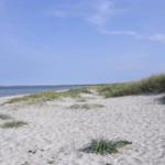 Strand mit Sand und Gras, Menschen baden im Meer unter blauem Himmel.