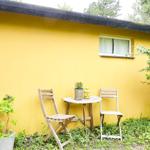 Weißer Holzbank im grünen Garten unter Bäumen.