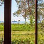 Grünes Gelände mit Baum und Blick auf das Meer.
