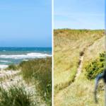 Strand mit Dünen und Ferienhäusern entlang der Küste.