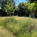 Hinterhof mit Spielplatz, Schaukel und Rutsche. Ein Hund liegt auf dem Gras.