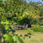 Hinterhof mit Gartenmöbeln, Pflanzen und Holzzaun unter blauem Himmel.