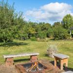 Seeufer mit Grasland und Wald im Hintergrund unter blauem Himmel mit weißen Wolken.
