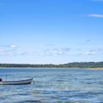 A white motorboat is on the water. Trees and a clear sky are visible in the background.