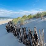 Strand mit Dünen, Gräsern und Holzzäunen. Blick auf das Meer unter blauem Himmel.