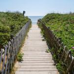 Holzsteg führt von Dünen mit Blumen zum Strand und Meer.