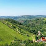 Ein ruhiger See mit grüner Umgebung und klarem Himmel.