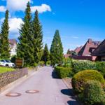 Eine Straße mit Häusern, Bäumen und einem gepflasterten Weg unter blauem Himmel.
