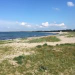 Beach with gravel shore and calm water under clear sky.
