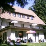 Haus Waldblick, Wohnung 1 - Bad Sachsa