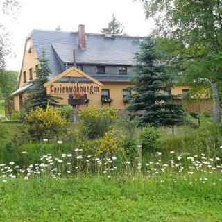 Ferienwohnung Wasserläufer - Grünbach-Muldenberg