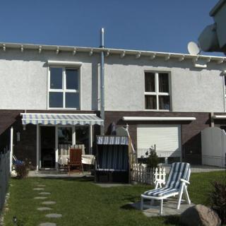 Kleiner Seehund - Marienleuchte