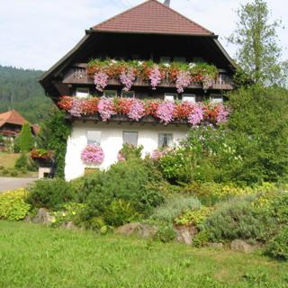 Haus Schneider, Ferienwohnung Talblick - Gutach