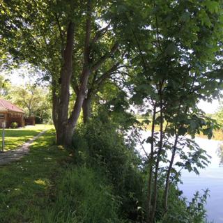 Ferienhaus "Biene am Siel" - Wittmund