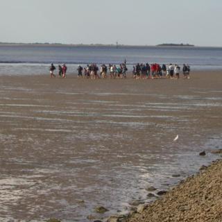 Haus Halligblick, Ferienwohnung Pellworm - Dagebüll