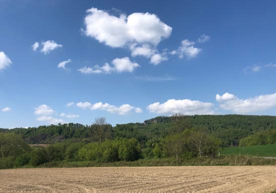 Image 14