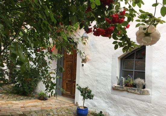 Image 22