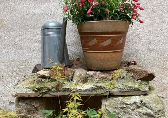 Image 39