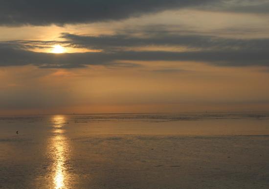 Image 36
