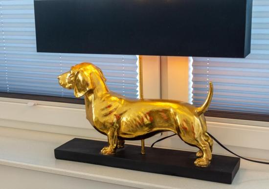 Image 25