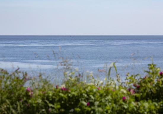 Image 34