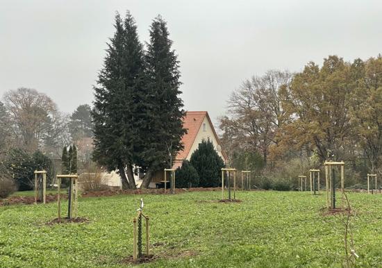 Image 19
