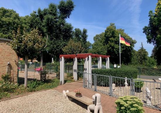 Image 25