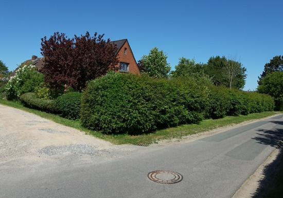 Image 13