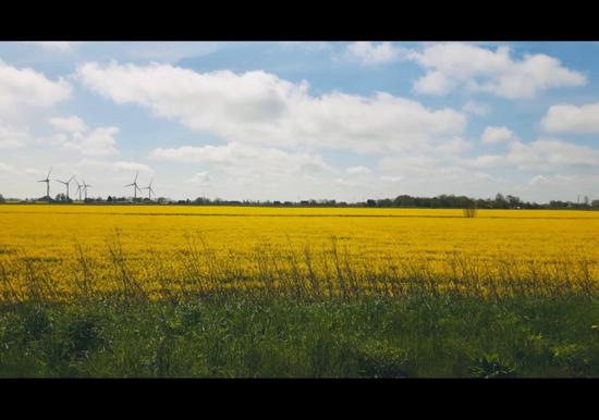 Image 33