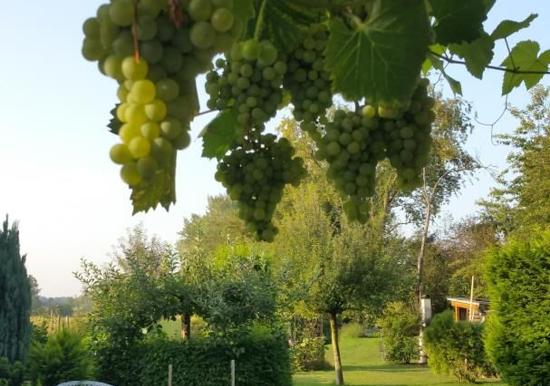 Image 27