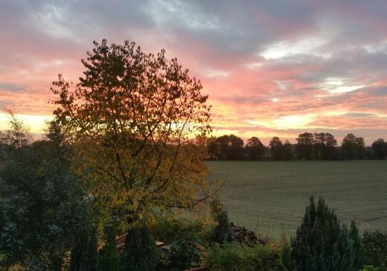 Image 28