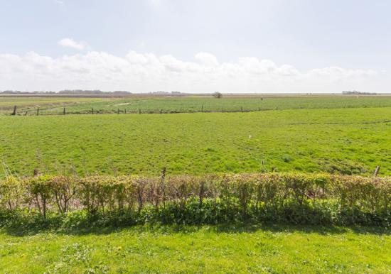 Image 17