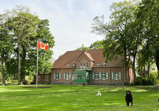 Image 36
