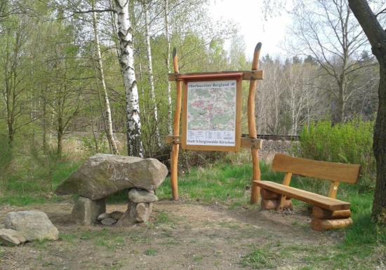 Image 19
