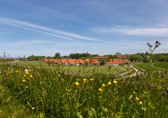 Image 28