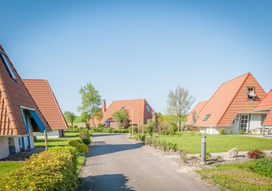 Image 29