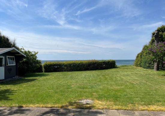Image 15