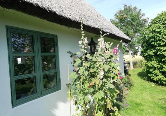 Image 20
