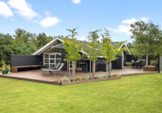 Image 15