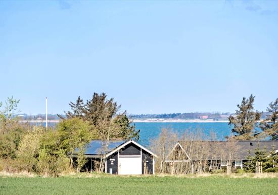 Image 14