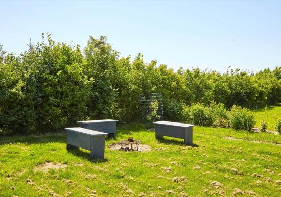 Image 34