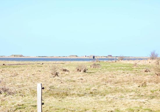 Image 39