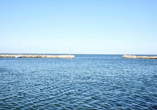Image 50