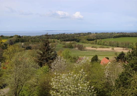 Image 15