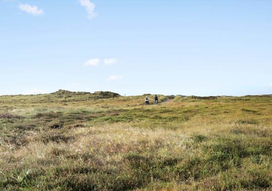 Image 33