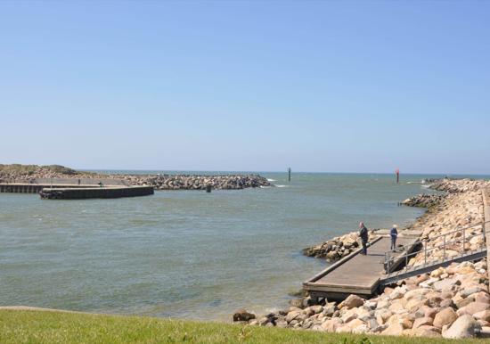 Image 21