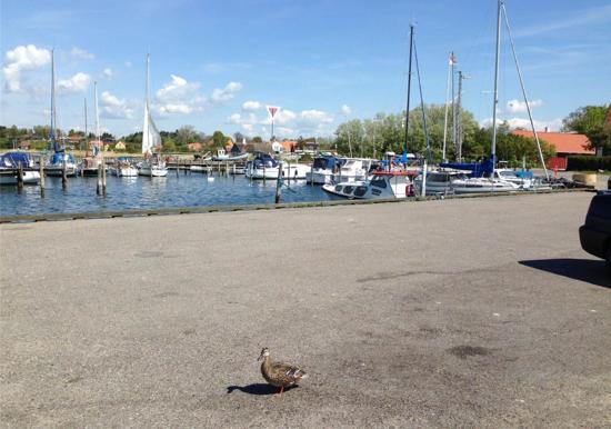 Image 23